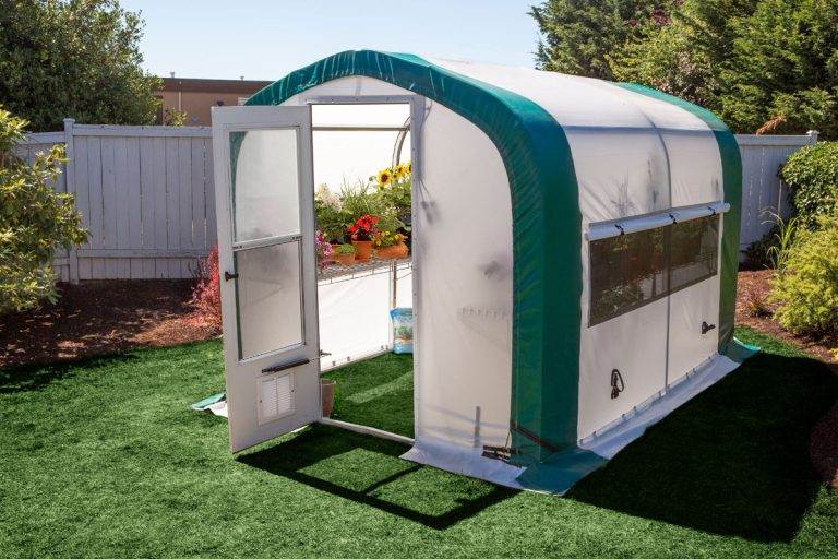 The Benefits of Backyard Greenhouses