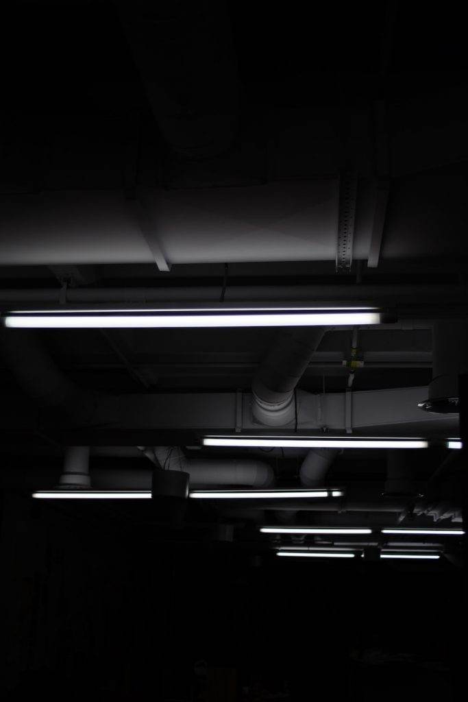 Fluorescent Light
